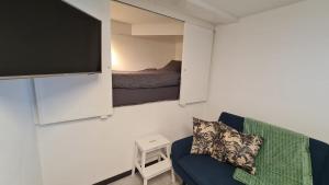 ein Wohnzimmer mit einem Sofa und einem Flachbild-TV in der Unterkunft Le Carnotzet Tchiko in Savièse