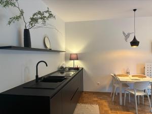 eine Küche mit einem Waschbecken und einem Tisch mit Stühlen in der Unterkunft Ljubljanica Apartment in Ljubljana