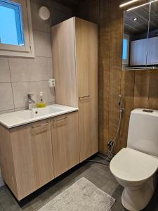 a bathroom with a toilet and a sink at Levilehto Apartments in Levi