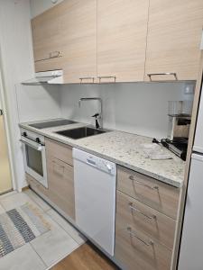 cocina con fregadero y lavavajillas en Levilehto Apartments en Levi