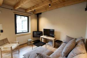 TV a/nebo společenská místnost v ubytování Cal Rus Apartament 3