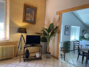 a living room with a television and a potted plant at Les Cigales in Saint-Privat