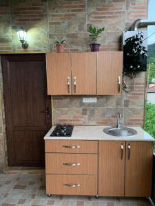 a kitchen with wooden cabinets and a sink at borjomi wood edge in Borjomi