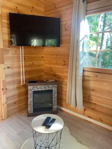 TV a/nebo společenská místnost v ubytování Le Chalet avec jacuzzi privatif