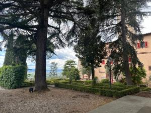 un chien debout à côté d'un arbre dans un parc dans l'établissement Monastero del 600 vista Firenze, à Calenzano