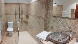 a bathroom with a shower and a sink and a toilet at Le Petit Caboulot en pleine nature in Vaumeilh