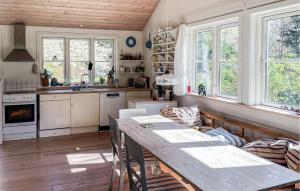 a kitchen with a table and some windows at Cozy Home In Frederiksvrk With Kitchen in Frederiksværk