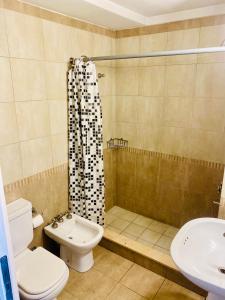 La salle de bains est pourvue de toilettes, d'un lavabo et d'une douche. dans l'établissement Apart Independencia, à Buenos Aires