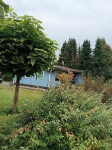 een blauw huis met een boom ervoor bij Ferienhaus für 4 Personen ca 56 qm in Winsen-Meissendorf, Lüneburger Heide Südheide in Winsen