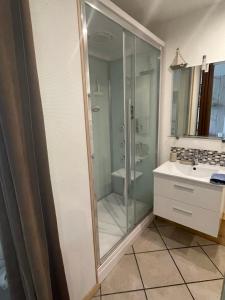ein Bad mit einer Dusche und einem Waschbecken in der Unterkunft Studio indépendant avec jardin privatif in Le Lorey