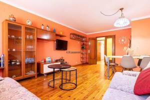 Televízia a/alebo spoločenská miestnosť v ubytovaní Apartament el Llac