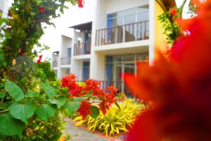 Giardino di Hotel Canoa´s Wonderland