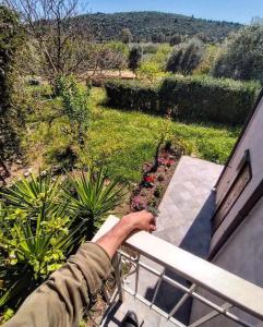 Paesaggio naturale nelle vicinanze del bed & breakfast