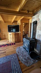 Zimmer mit Kamin und TV in einer Hütte in der Unterkunft Vila Baco in Žabljak