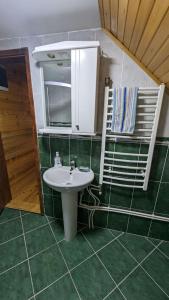 ein Bad mit einem Waschbecken und einem Spiegel in der Unterkunft Vila Baco in Žabljak