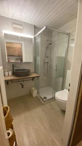 La salle de bains est pourvue d'une douche en verre et de toilettes. dans l'établissement Studio 4pers aux Bains de Saillon, à Saillon