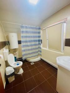 a bathroom with a toilet and a sink and a shower at Pensiune Perla Dunarii in Giurgiu +38 photos