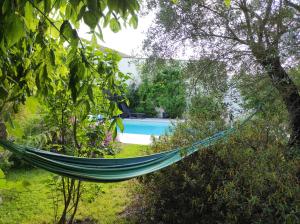 een hangmat in een tuin met een zwembad bij Chambre direct piscine in Talence