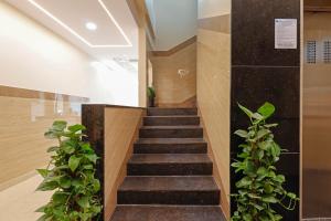 un escalier dans un bâtiment avec des plantes dans l'établissement Sri Sai Grand IN, à Bangalore