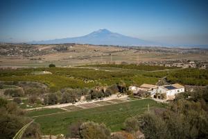 Příroda nedaleko farmy