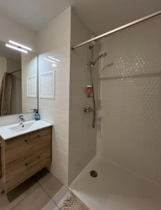 uma casa de banho com um chuveiro e um lavatório. em Le Stan - proche centre ville - Terrasse & Parking gratuit em Colmar
