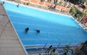 two people swimming in a large blue swimming pool at Lake view property in Kisubi