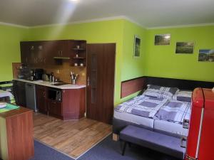 a bedroom with a bed and a kitchen with green walls at Ubytování pod Pradědem - Karlov pod Pradědem in Bruntál