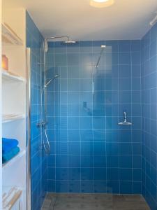 eine blau geflieste Dusche mit Glastür in der Unterkunft Villa La Ronde des Soleils in Coti-Chiavari