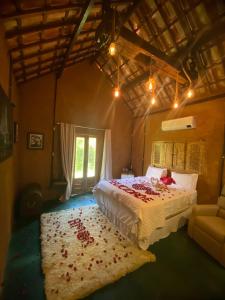 um quarto com uma cama, uma janela e um sofá em Chalé Céu estrelado em Caruaru