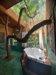 um quarto com uma árvore e uma banheira numa casa em Chalé Céu estrelado em Caruaru