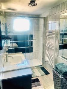 y baño con lavabo y ducha. en 100 m2 de charme vue sur la Loire, en Saint-Clément-des-Levées