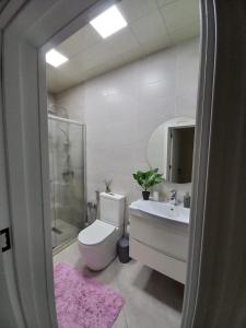 La salle de bains est pourvue de toilettes, d'un lavabo et d'une douche. dans l'établissement Собственный домик с бассейном, à Cǝnubi