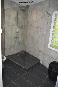 La salle de bains est pourvue d'une douche et de carrelage noir. dans l'établissement Loc974 Les Cocotiers, à Saint-Leu