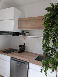 cocina con encimera, fregadero y planta en Appartement cosy au calme à cote du zoo avec balcon et parking securisé en Montpellier