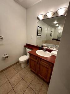 ein Badezimmer mit einem WC, einem Waschbecken und einem Spiegel in der Unterkunft Peaceful Golf Spa in Collingwood