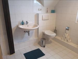 a bathroom with a sink and a toilet at Ferienwohnung Familie Ossenbühl in Todendorf