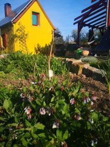 una casa amarilla con flores en un jardín en Zum Waldmeister - WC außerhalb, en Schkeuditz