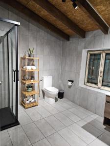 a bathroom with a toilet and a glass shower at Το Αρχοντικό της Ευτυχίας in Nicosia
