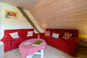 Część wypoczynkowa w obiekcie Gîte en montagne vosges alsaciennes