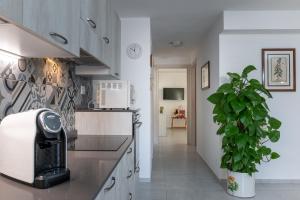 フォッローニカにあるCAMPI ALTI AL MARE APARTMENTSのキッチン(電子レンジ、植物付)