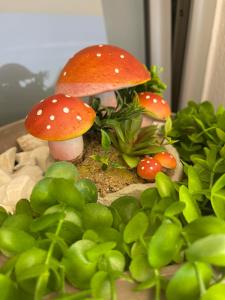 Gallery image of Centrum Rooms in Kallithea Halkidikis