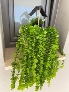 Gallery image of Centrum Rooms in Kallithea Halkidikis