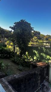 un cuerpo de agua con un árbol en el fondo en Cantinho do Sossego, en Río de Janeiro