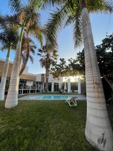 a resort with palm trees and a swimming pool at Hotel Avenida en Arica in Arica