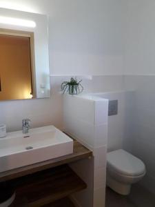 een badkamer met een wastafel, een toilet en een spiegel bij Maison climatisée avec piscine privée, 6 personnes in Aiguèze