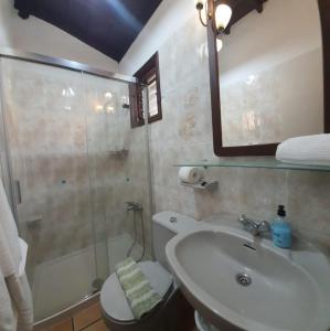 a bathroom with a shower and a sink and a toilet at Casa Domingo Simón in Fuencaliente de la Palma