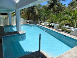 a pool at the hotel with palm trees in the background at La Vida Perezosa in Caye Caulker