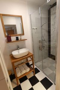 y baño con lavabo y ducha. en Albarine-2 pers-wifi-cosy-confort-bien-être, en Oyonnax