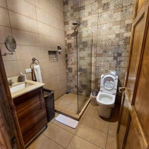 a bathroom with a shower and a toilet and a sink at Hotel Cabañas y Mirador Secret Garden CR in Cartago