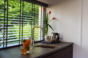 encimera de cocina con fregadero y ventana en Bed & Breakfast De Boogschutter - Kersenboom, en Langenboom